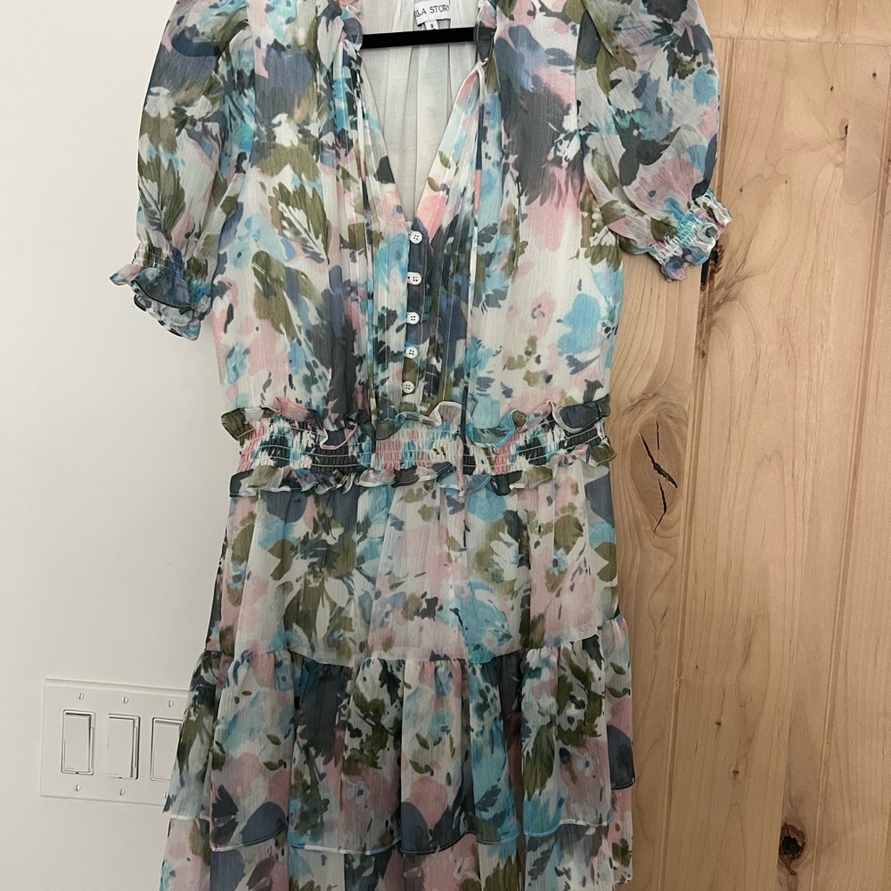 Willa Story Floral Sheer Dress with Ruffle Sleeves